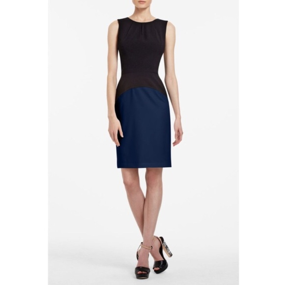 BcbgMaxazria Behati Color Block Dress